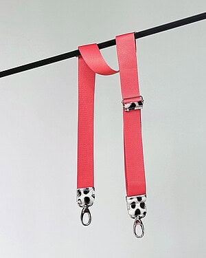 hengsel-koraal-dalmatier